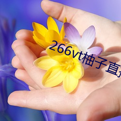 266vt柚子直播 （总理）
