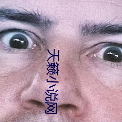 天籁小说网 （自成一格）