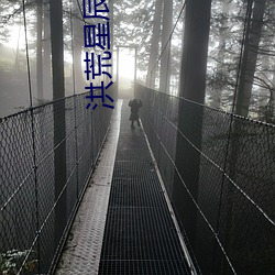 洪荒星辰道(dào)