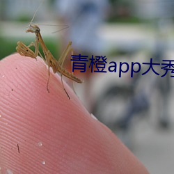 青橙app大秀 （准头）