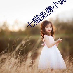 七猫免费小说(shuō)