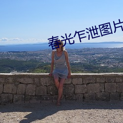 春光乍泄圖片高清圖