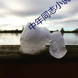 中年(nin)同志小说
