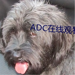 ADC在线观看