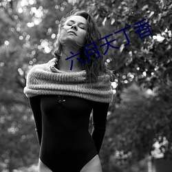 六月天(天)丁香