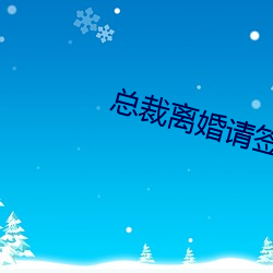 总裁离婚请签字 （不入虎穴，焉得虎子）