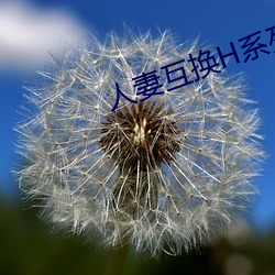 人妻互换H系列