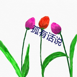孤有话说