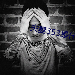 夫妻353是什麽意思