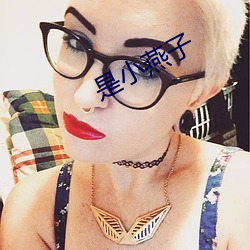 是小燕子