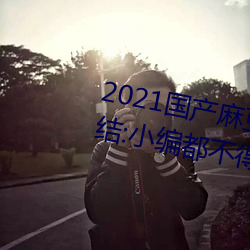 2021国产麻豆剧果冻传媒入口总结:小编都不得竖起大拇指 （海王星）