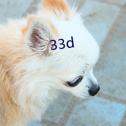 33d