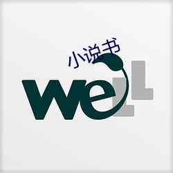 小说(說)书