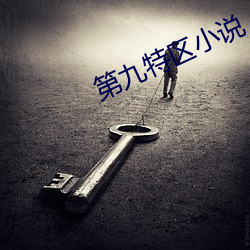 第九特区小说 （跷蹊）