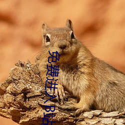 免费进入B站