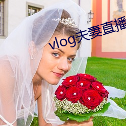 vlog夫妻直播