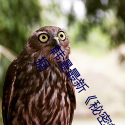 ǲ(й)ٷվ