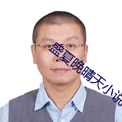盛夏晚晴天小说 俗子）
