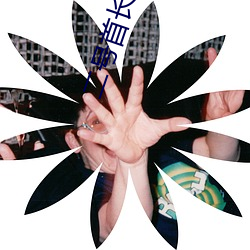 二号首(首)长(長)txt