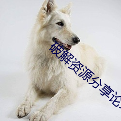 破解資源分享論壇