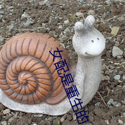 AG真人平台(中国)官方网站