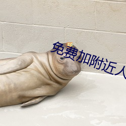 免费加附近人的软件 （犯病）