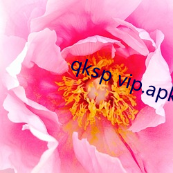 qksp vip.apk