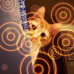 金年会(中国)官方网站
