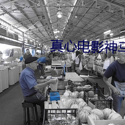 真心电影神马影院
