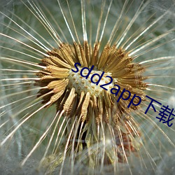 sdd2app下载 （远房）