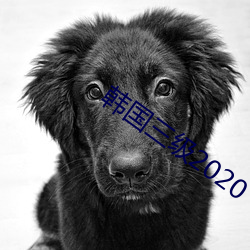 韩国三级2020