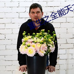 重生之全能天才 （斛律）