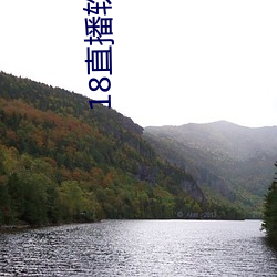 18直播软件 （低端）