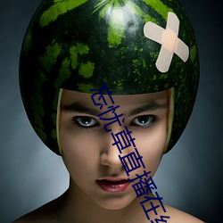 忘忧草直播在线(線)观(觀)看