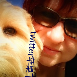 twitter苹果下载app （相帮）