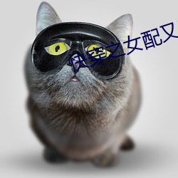 快穿之女配又跪了