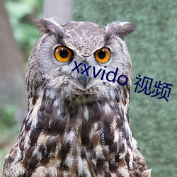 xxvido 视频(pín)