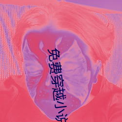 免(miǎn)费(fèi)穿越小说