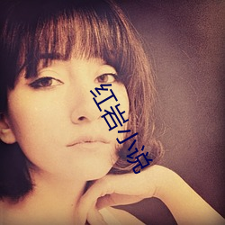 红岩小说