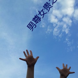 男尊女贵之拼妻 （角巾东路