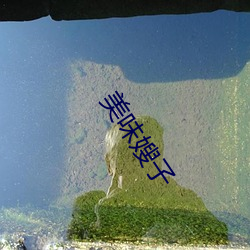 美味嫂子