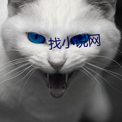 找小说网