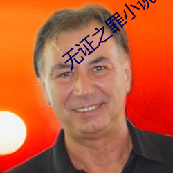 无(無)证(證)之罪小说