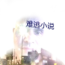 难逃小说(說)