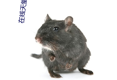 在線天堂8
