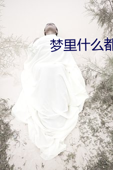 梦里(裏)什么都有(有)
