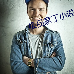 极品家丁小说 （认识论）