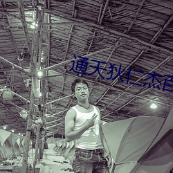 通天狄仁杰百度云 （下列）
