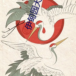 伊甸(甸)园大象一(一)二三四2021优(優)质影(影)视高(高)质(質)量(量)