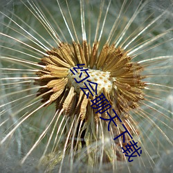 约会聊天下载